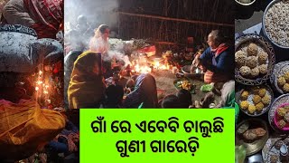 ଗାଁ ରେ ଏବେବି ଚାଲୁଛି ଗୁଣୀ ଗାରେଡ଼ି🧜😱 II ଗାଁ ରେ ହଉଛି କଣ???