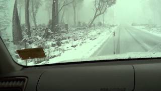 Drive to Cradle Mountain   10 Aug 2014