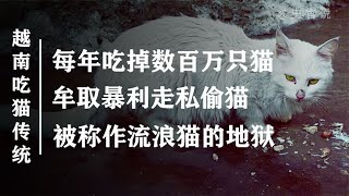 每年吃掉500万只猫，甚至偷猫走私，越南人的吃猫真相【史官说】