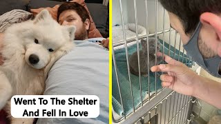 Wholesome Rescue Pet Pics To Heal Your Soul (July Edition)
