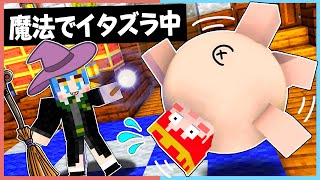 魔法でイタズラした結果！？【マイクラ / マインクラフト / Minecraft】