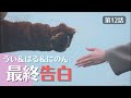 【最終話】「ずっと好きでいてよかったなって思います…」【うい＆はる＆にのん】#オオカミちゃんとオオカミくんには騙されない #オオカミちゃんくん #オオカミには騙されないシリーズ