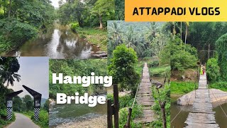 Day in my life | Attapadi vlogs | Attappadi diaries | Sholaiyur to Goolikadavu | Hanging bridge