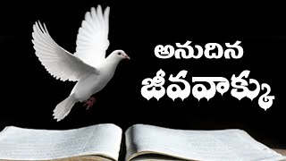 ఈ దిన జీవవాక్కు 8.1.2022 Today's word of God