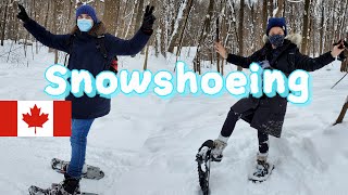 【モントリオール/冬のアクティビティ】モンロワイヤル公園でスノーシューをレンタルしてSnowshoeing!!! / Snowshoeing in Mount Royal Park (4K高画質)