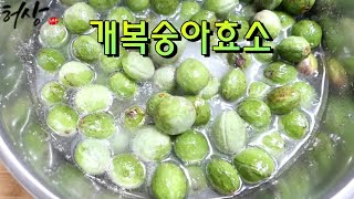 개복숭아 이것으로 쉽게 씻어요 맛있는 개복숭아효소 만들기 복숭아 효능까지 알려드려요!