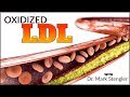 What is Oxidized LDL?