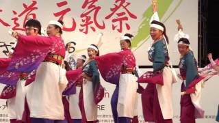 妃龍〔原宿表参道元氣祭スーパーよさこい2016　2日目　原宿口ステージ20160828