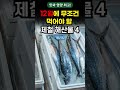 12월에 꼭 먹어야 할 제철 해산물 best4 맛 영양최고 제철음식 건강 효능 건강정보