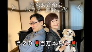 お家de音楽会～神野美伽＆小原孝 ＃20 百万本のバラ #スマホ一発録り 　　#ノーマイク #花の名曲シリーズ