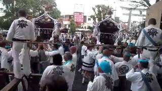 藤澤白旗神社宮入