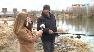 По экологическому календарю сегодня День рыб. Что водится в свердловских водоёмах?