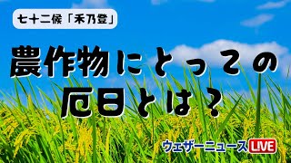 七十二候「禾乃登」／農作物にとっての厄日とは？