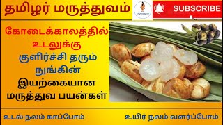 நுங்கு தரும் மருத்துவப் பயன்கள்