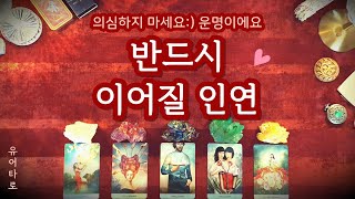 [타로] 반드시 이어질 인연♥️ 외모 성향 특징ㅣ중요한 장소ㅣ정확한 날짜🔮