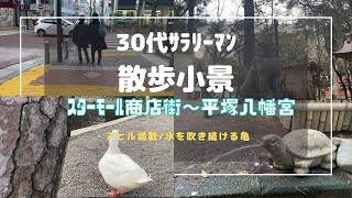 スターモール商店街～平塚八幡宮/アヒル満載/水を吹き続ける亀