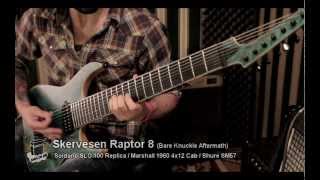 Three 8 str. Guitars Shootout - Ibanez RG2228, Skervesen Raptor 8, Schecter Hellraiser C-8