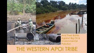 Oil Pollution, Environmental Degradation \u0026 The Western Apoi Tribe Of Ondo State, Nigeria.