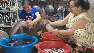 Hai Mẹ Con Vui Mừng Khi Được Người Chị Tặng Mấy Chục Ký Cá Khủng Để Dành Nấu Ăn | BQCM & Family