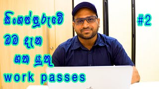 සිංගප්පූරුවේ ඔබ දැන ගත යුතු work passes වර්ග | Singapore | Sinhala | Guide #2