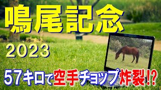 鳴尾記念【2023予想】一度使って軽さが出てきたカラテから狙います