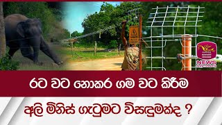 රට වට නොකර ගම වටකිරීම අලි මිනිස් ගැටුමට විසඳුමක්ද ?  - Discover Sri Lanka  | Rupavahini News