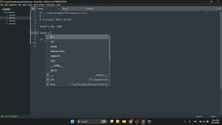 Making a Programming Language! Part 1: Lexer (Python)