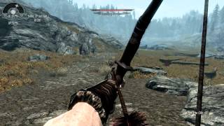 Weird Bow Bug - Skyrim