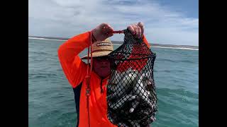 Arno Bay Whiting Mission with Uncle Billy