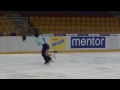 cathy reed chris reed jpn senior ice dance fs mnntc13