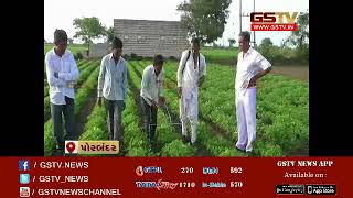 Porbandar: Farmers of Chaota village invented desi medicines to destroy pest in crops