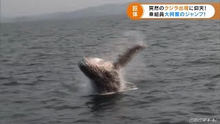 海面から突然！最後はさよならを告げるように…伊勢湾にザトウクジラ現る (21/11/17 17:10)