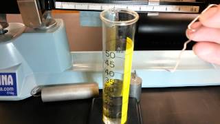 Lab Mass & Volume