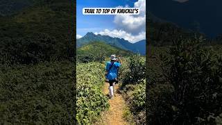 Trail to top of the #knuckles mountain range from Rangala Thangappuwa #visitsrilanka