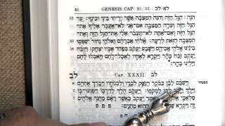 Read Genesis 32 in Torah portions Vayetze and Vayishlach, in Hebrew! ✡