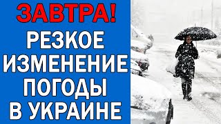 ПОГОДА НА 20 ЯНВАРЯ : ПОГОДА НА ЗАВТРА