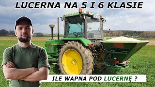 DRUGIE PODEJŚCIE DO LUCERNY - JAK ZACZĄĆ Z PRODUKCJĄ NAJTAŃSZEGO BIAŁKA ?