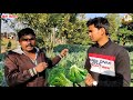 ब्रोकली की खेती की a to z पूरी जानकारी how to start broccoli farming in india broccolifarming