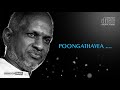 poongathavea hq 24 bit ilaiyaraja hits re mastered