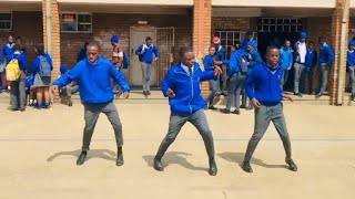 amapiano dance challenge for chief dollar (walekani)