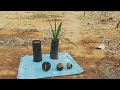 பனை விதைகளை விதைப்பது எப்படி how to plant palmyra palm seeds verukku neer