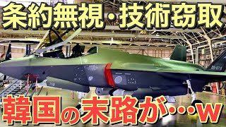 【海外の反応】隣国の醜さに全世界が呆然としている…アメリカから購入した40機のF35戦闘機が小さな人になっているようだ…【にほんのチカラ】