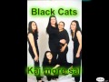 Romska hudba Black Cats Kaj more sal