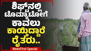 Tomato Price Hike : ಬೇರೆ ರಾಜ್ಯದಲ್ಲಿ ಎಷ್ಟಿದೆ ಟೊಮ್ಯಾಟೋ ಬೆಲೆ ? | NewsFirst Special