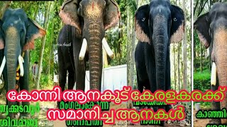 കോന്നി ആനക്കൂട് കേരളകരക്ക് സമ്മാനിച്ച ആനകൾ part 1 konni aanakudu keralakarakku samanich aanakal