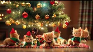 Cute cats in the Christmastree #christmas2024 #happynewyear2025 #christmascat #christmastree #cats