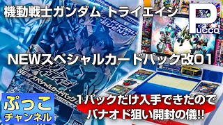 機動戦士ガンダム トライエイジ NEWスペシャルカードパック改01