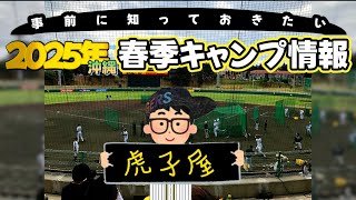 【事前に知っておきたい】2025沖縄春季キャンプ情報！#阪神タイガース #沖縄キャンプ #宜野座