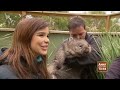 warum der wombat würfel kackt reportage für kinder anna und die wilden tiere