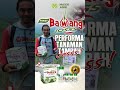 maxxiagri : PAKET BAWANG JOSSS,  Performa  #bawangmerah  Tambah #josss Ulat-Jamur Amblas #shorts